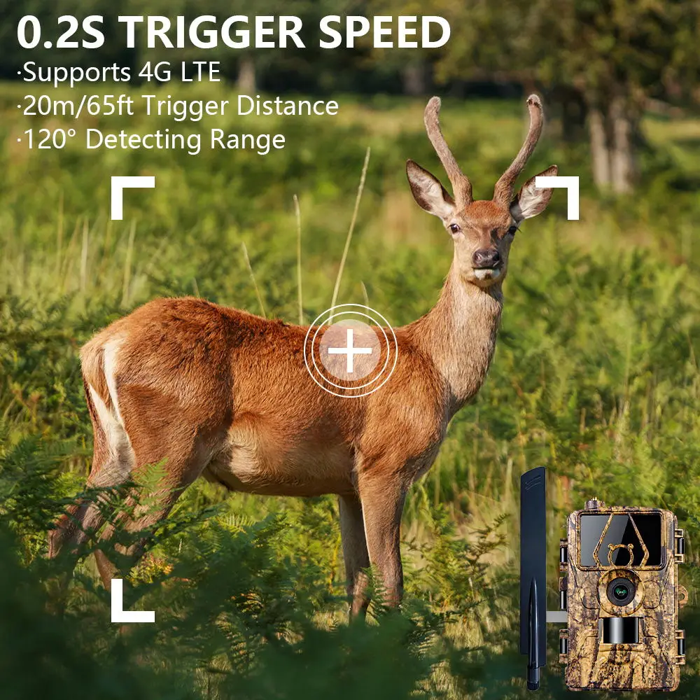 Pr801 4G Netwerk Observatie Ja - Outdoor Hunting House recensie en prijs